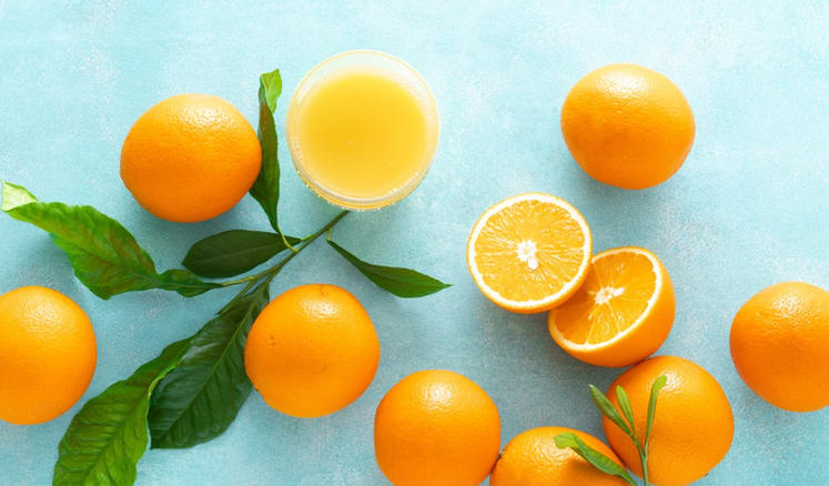 嘉祥县三通牛羊养殖公司轮播图3